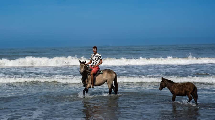 HORSE TOUR IN CARTAGENA BEACH - The ride on sand: walking, trot, and a controlled gallop