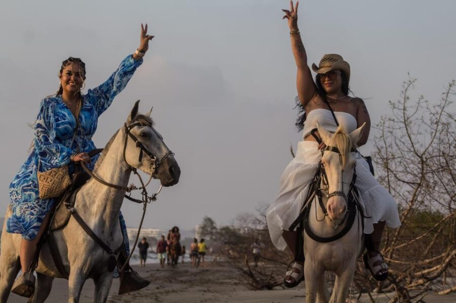 HORSE TOUR IN CARTAGENA BEACH - Break time, beach photo stop, and the drink that ends it right