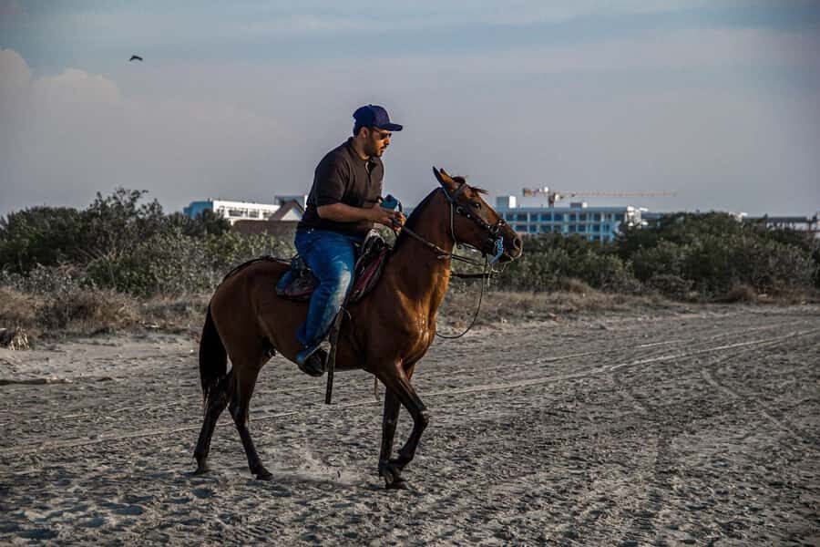 HORSE TOUR IN CARTAGENA BEACH - Final thoughts: should you book Galopes del Manzanillo in Cartagena?