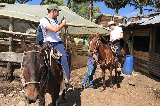 Horseback Riding Adventure from Medellin - Guides and horses: where the reviews consistently land