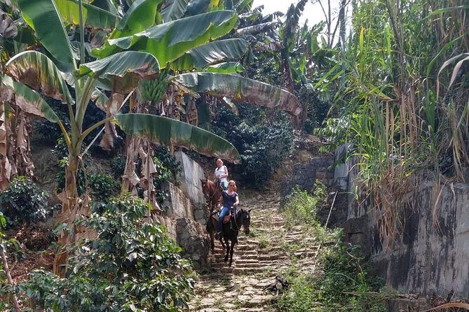 Horseback Riding Adventure from Medellin - Price and value: what $137.75 buys you in the Andes