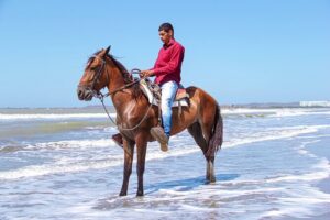 Horseback Riding Tour through the Beaches of Cartagena de Indias - The Beach Segment: Why the Timing Matters in Cartagena