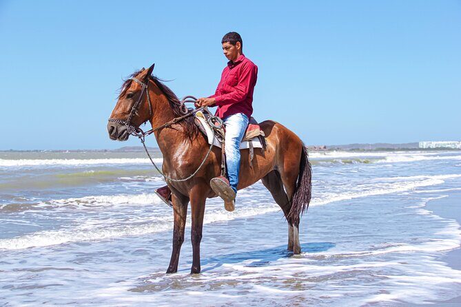 Horseback Riding Tour through the Beaches of Cartagena de Indias - The Beach Segment: Why the Timing Matters in Cartagena