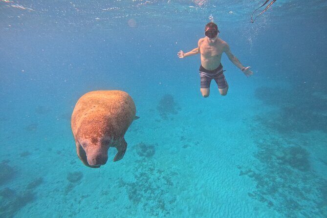 Let's snorkel Hol Chan the Best Marine Reserve in Belize - Key Highlights You’ll Actually Notice