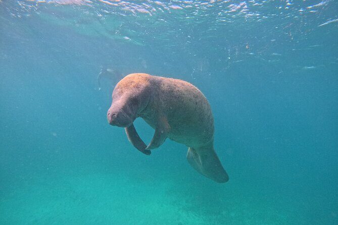 Let's snorkel Hol Chan the Best Marine Reserve in Belize - What You Should Pack (Because the Tour Won’t)