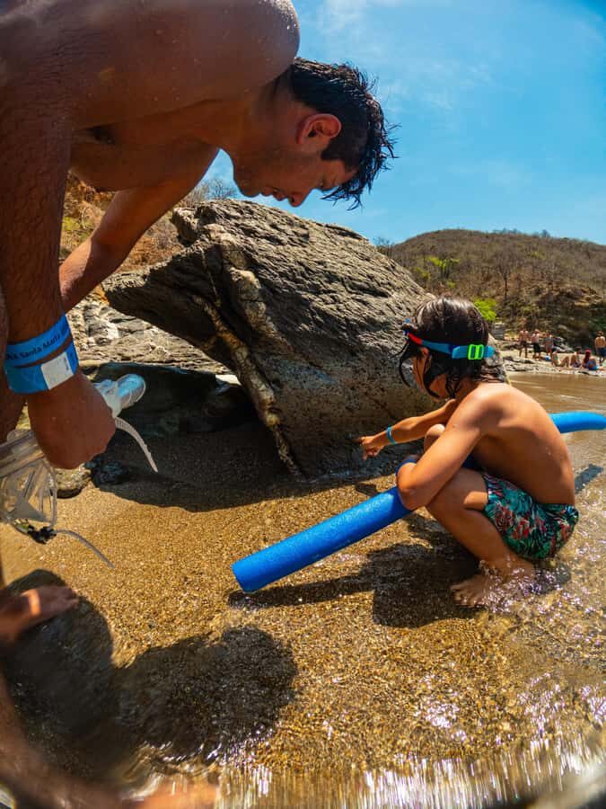 Magdalena: Tayrona Park Cruise with Snorkeling & Beaches - Granate snorkeling: aiming for turtles and the best reef odds