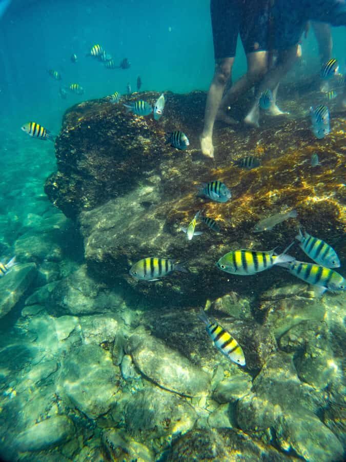 Magdalena: Tayrona Park Cruise with Snorkeling & Beaches - Remanso snorkel stop: 40 minutes where the water does the work