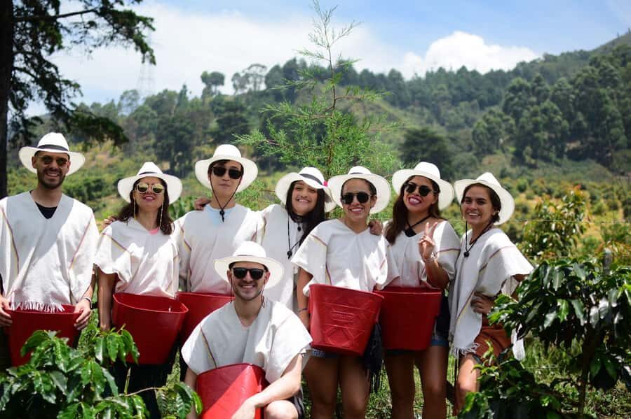 Medellín Coffee Farm Tour with Trolley and Cable Car Ride - San Antonio meeting point: start where the city makes sense