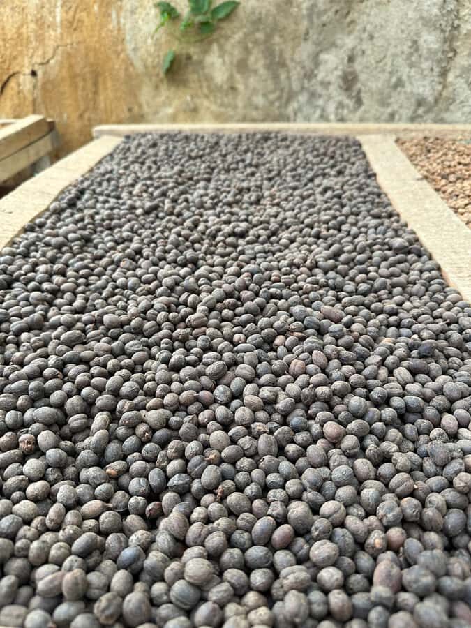 Medellín Coffee Farm Tour with Trolley and Cable Car Ride - Barrio La Sierra walking tour: history you can feel in your legs