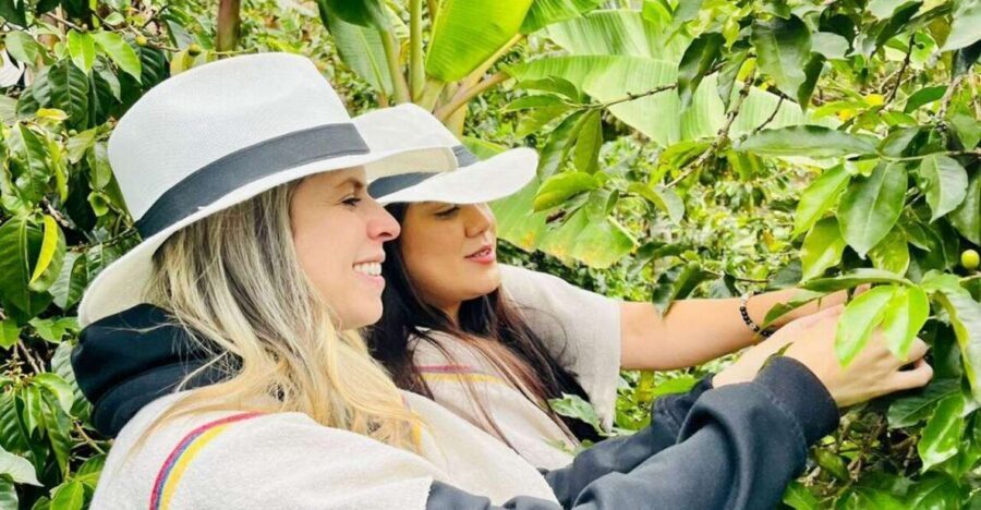 Medellín Coffee Farm Tour with Trolley and Cable Car Ride - Coffee farm visit: harvest berries and feel the real work
