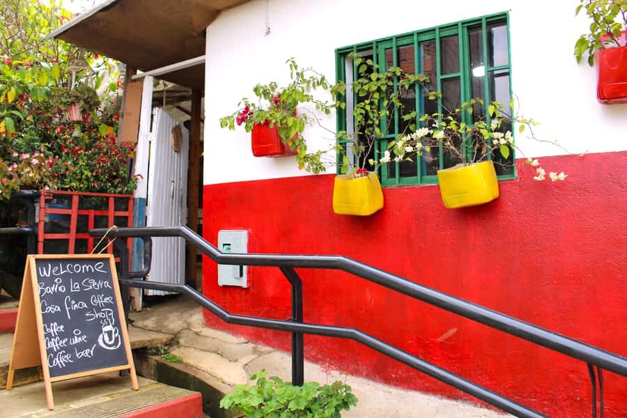 Medellín Coffee Farm Tour with Trolley and Cable Car Ride - Seed to cup: the chain reaction from fruit to brew
