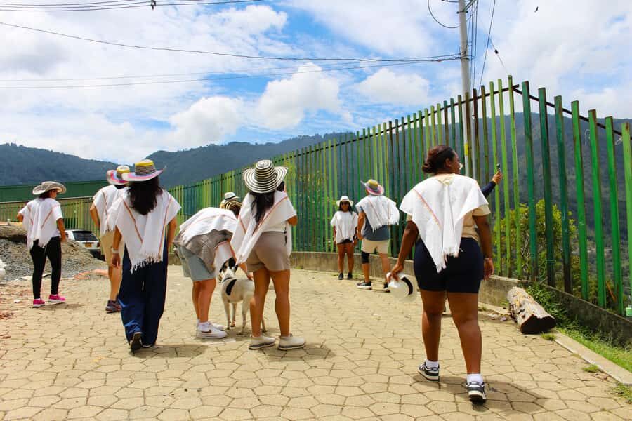 Medellín Coffee Farm Tour with Trolley and Cable Car Ride - The guides: clear stories make the neighborhood click