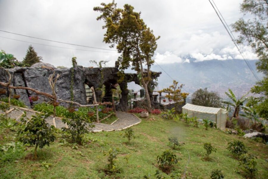 Medellin: Coffee Tour and Wellness Spa - The wellness spa ritual in Parque Arví: steam, scrub, and recovery