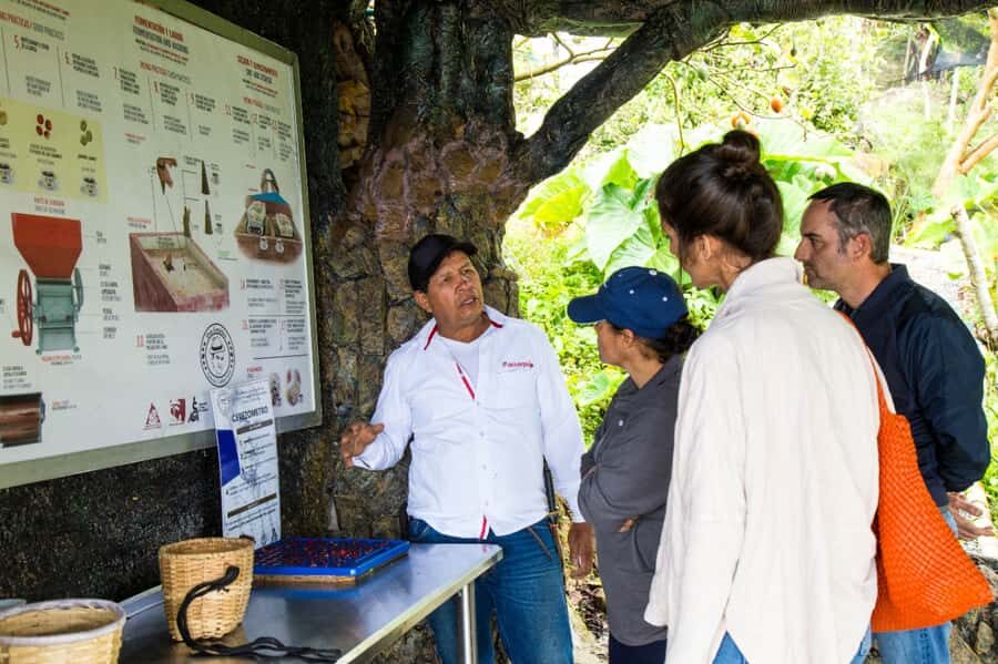 Medellin: Coffee Tour and Wellness Spa - The coffee ritual and barista show: turning the lesson into a cup