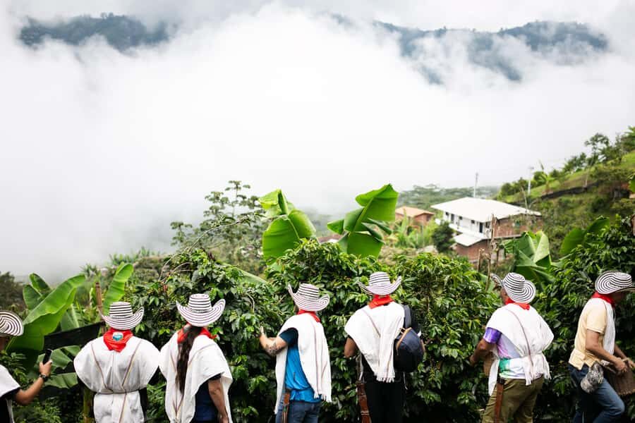Medellin: Coffee Tour, Horseback Arrival, and Sugar Cane - Who this tour fits best (and who should skip it)