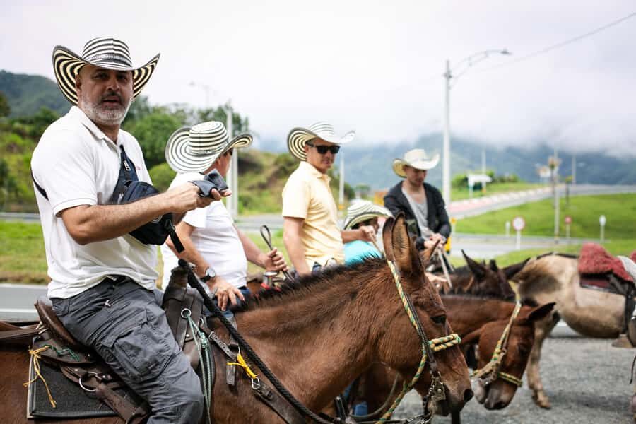Medellin: Coffee Tour, Horseback Arrival, and Sugar Cane - Coffee fields and processing: the main event in Antioquia