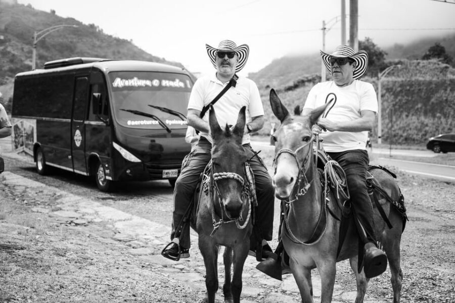 Medellin: Coffee Tour, Horseback Arrival, and Sugar Cane - Price and value: what $76 buys you in the real world