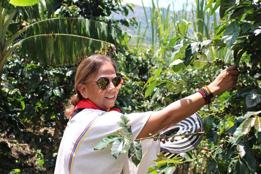 Medellin: Coffee Tour with Hotel Transfers and Meals - Key things that make this Medellín coffee tour worth it