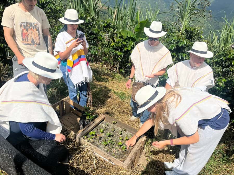 Medellin: Coffee Tour with Hotel Transfers and Meals - Where Finca La Arrinconada fits in the Medellín coffee story