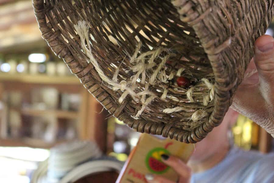 Medellin: Coffee Tour with Hotel Transfers and Meals - Ending with dessert: plátano calado con quesito