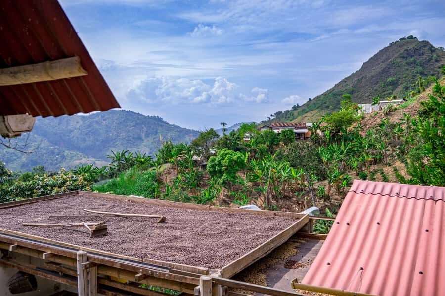 Medellin: Coffee Tour with Transport, Snacks and Tastings - San Sebastián de Palmitas: the short ride from Medellín to coffee country