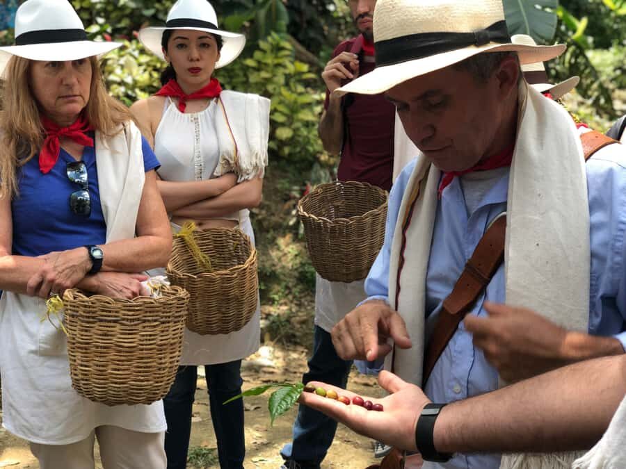 Medellin: Coffee Tour with Transport, Snacks and Tastings - Plantain snack, paisa lunch, and meal options that actually feed you
