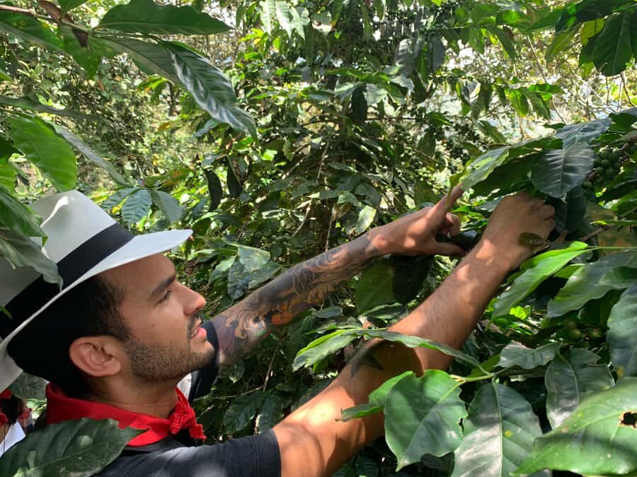 Medellin: Coffee Tour with Transport, Snacks and Tastings - Coffee picker certificate and the included farm take-home