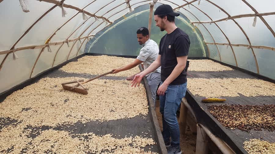 Medellin: Guatape, El Peñol Coffee Farm Private Tour & Fruit - Medellín to Guatapé and El Peñol: the smart way to do it in one day