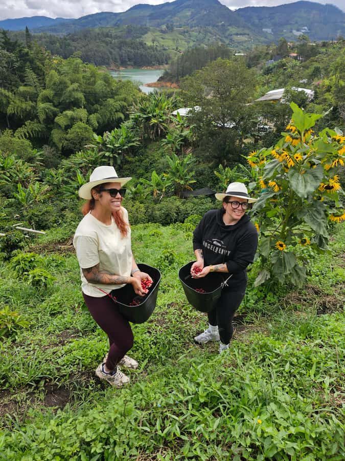 Medellin: Guatape, El Peñol Coffee Farm Private Tour & Fruit - Guatapé walking tour: colorful streets plus real local context