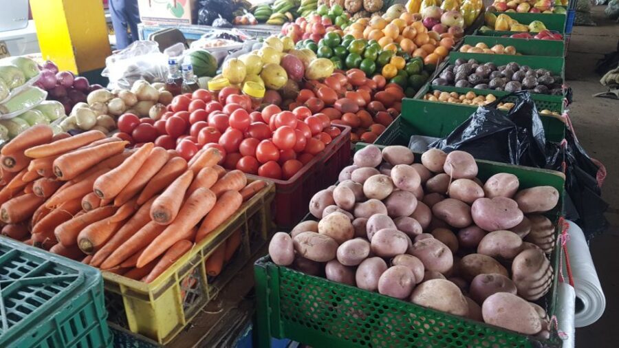 Medellin: Guatape, El Peñol Coffee Farm Private Tour & Fruit - Who this private Guatapé and coffee day suits best