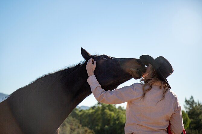 Medellin: Horseback Riding Adventure In Nature (Don't Overpay) - Heading out: the El Poblado meet-up that sets your day’s tone