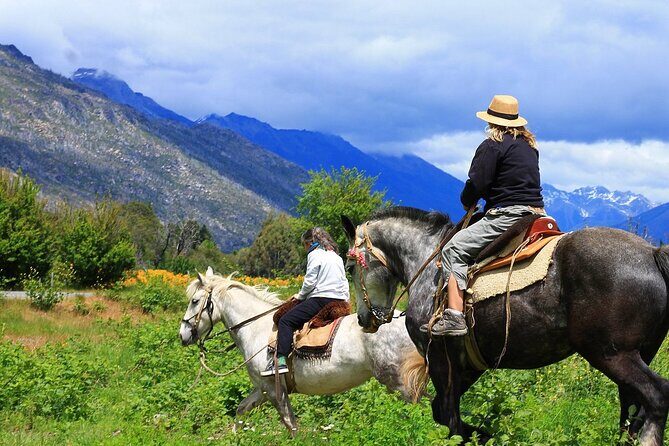 Medellin: Horseback Riding Adventure In Nature (Don't Overpay) - Group size, helmets, and what “easy for beginners” really means
