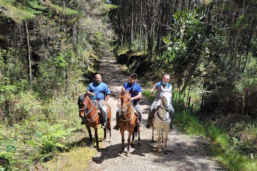 Medellin: Horseback Riding Coffee Farm Tour with Coffee Spa - Why this one works (even if you think you’ve seen it all)