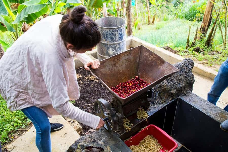 Medellin: Horseback Riding Coffee Farm Tour with Coffee Spa - How the guides keep the day smooth (and why it matters)