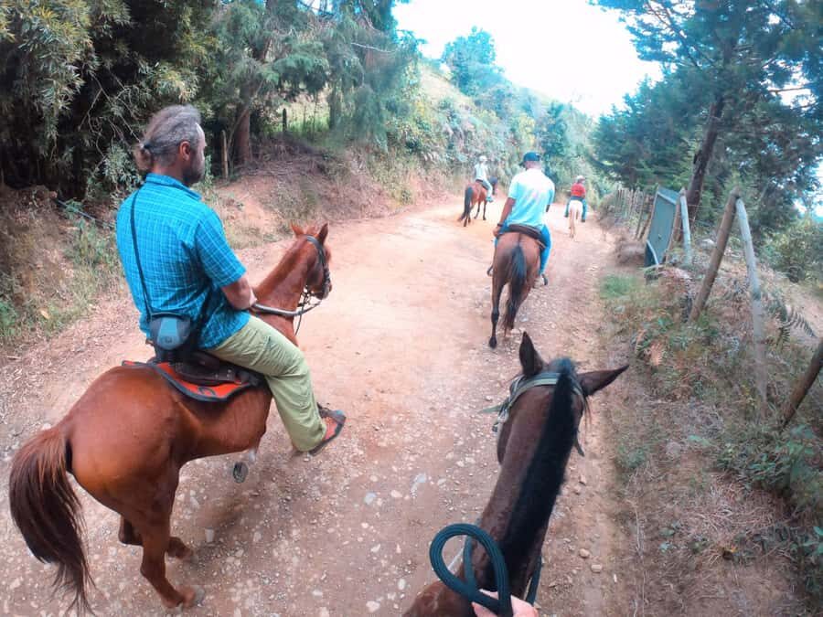 Medellin: Horseback Riding in the Medellin Mountains - Meet the Horses: Safety, Control, and the First-Time Comfort Factor