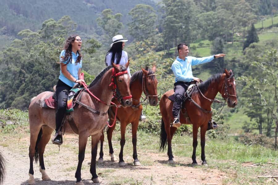 Medellin: Horseback Riding in the Medellin Mountains - Antioquia Arriero Culture: Why Horses Matter Here