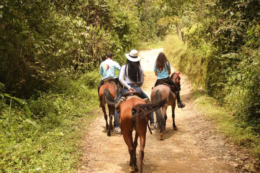 Medellin: Horseback Riding in the Medellin Mountains - The Little Stops That Make It Feel Like a Real Day