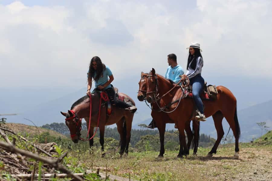 Medellin: Horseback Riding in the Medellin Mountains - Food and Drinks: Snacks, Tea Stops, and Local Sweetness