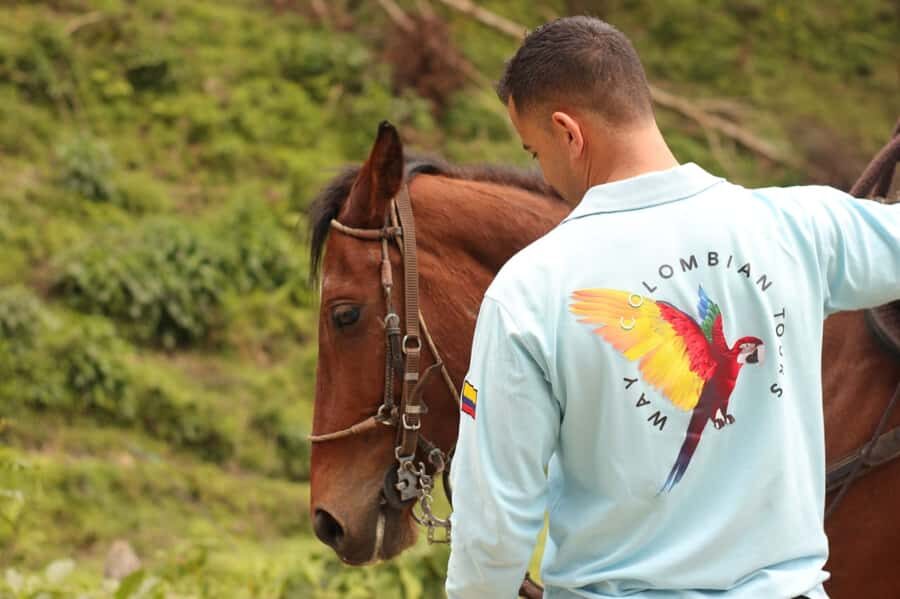 Medellin: Horseback Riding in the Medellin Mountains - Price and Value: Is $70 Worth It?