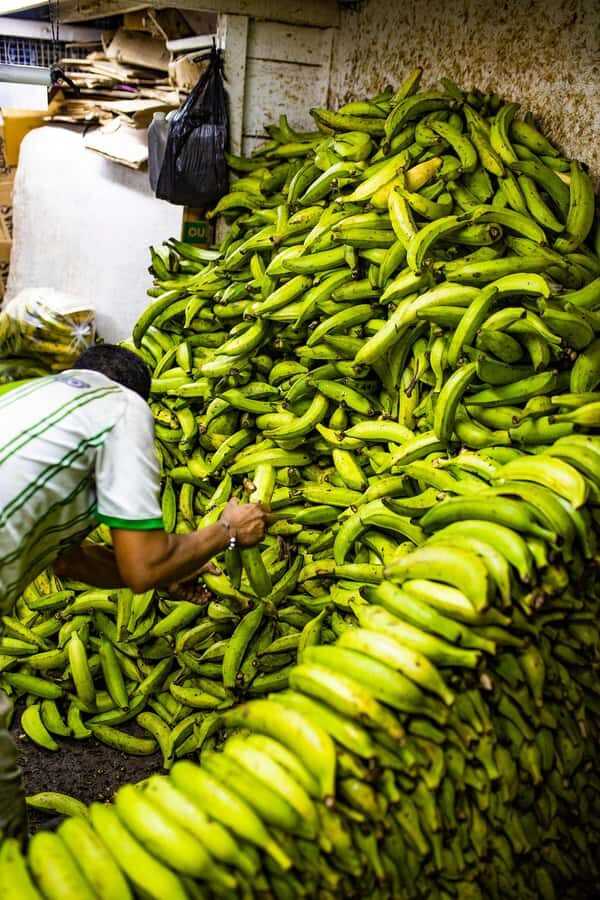 Medellín Multi-sensory Tour in the market, +15 Exotic Fruits - Languages, group size, and how it changes the whole vibe