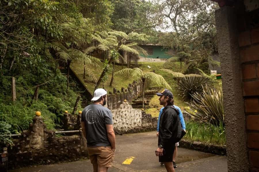 Medellin: Pablo Escobar, Dark Times & the New Medellin Tour - Your guide’s role: why Andrés, Daniel, and Luis keep getting praised