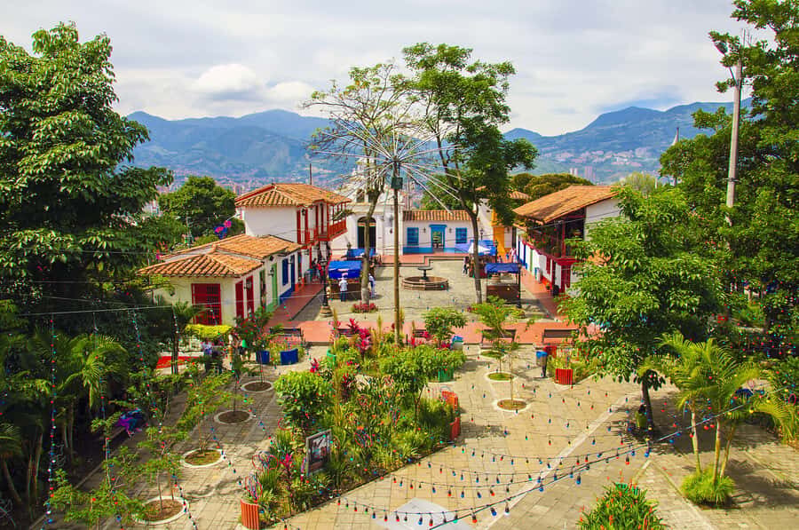 Medellín: Private City Tour with Metrocable and Comuna 13 - Comfort tips: hills, shoes, cash, and the ID you’ll need