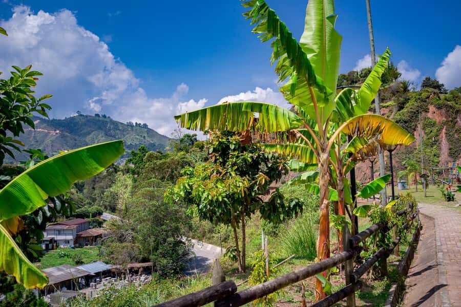 Medellín: Private Guatapé Tour w/ Breakfast, Lunch & Cruise - Who should book this Guatapé plus El Peñol tour