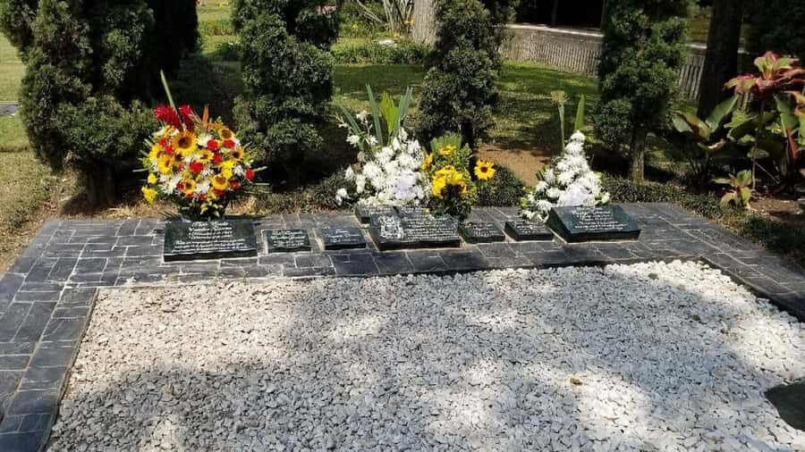 Medellín: Private Pablo Escobar and Comuna 13 Tour - Price and value: why $81 feels fair for a private, multi-stop route