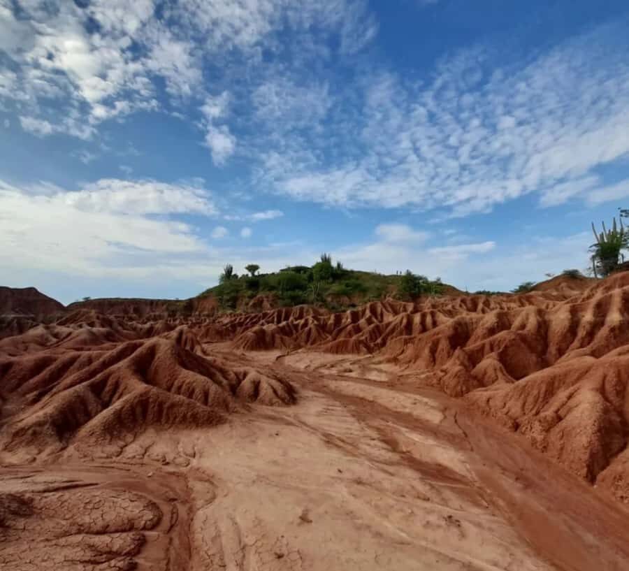 Neiva: Guided Day Trip to the Tatacoa Desert with Lunch - Entering the Tatacoa Desert day from Neiva or Villavieja