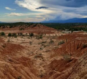 Neiva: Guided Day Trip to the Tatacoa Desert with Lunch - Villavieja’s streets and the Paleontological Museum stop