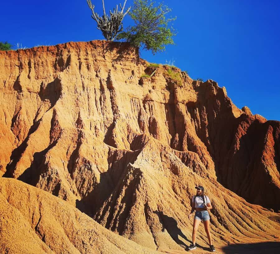 Neiva: Guided Day Trip to the Tatacoa Desert with Lunch - Magdalena River boat tour: wildlife from the riverbanks