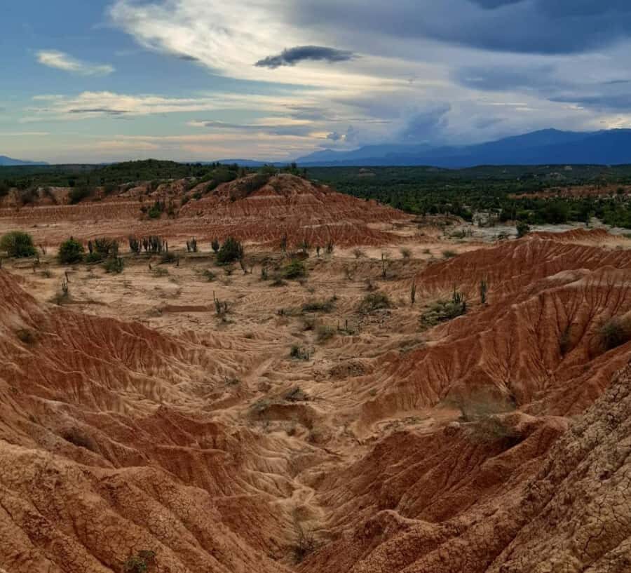 Neiva: Guided Day Trip to the Tatacoa Desert with Lunch - Villavieja’s streets and the Paleontological Museum stop