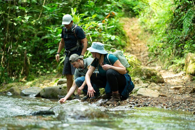 Pance Waterfalls: Hike to discover the biodiversity of the valley - A Small-Group Morning Hike Out of Cali
