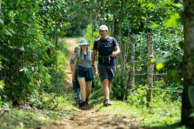 Pance Waterfalls: Hike to discover the biodiversity of the valley - The Pance River Trek: Three Waterfalls, Valley Views, and Wildlife Time